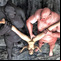 3d sex comics galleries